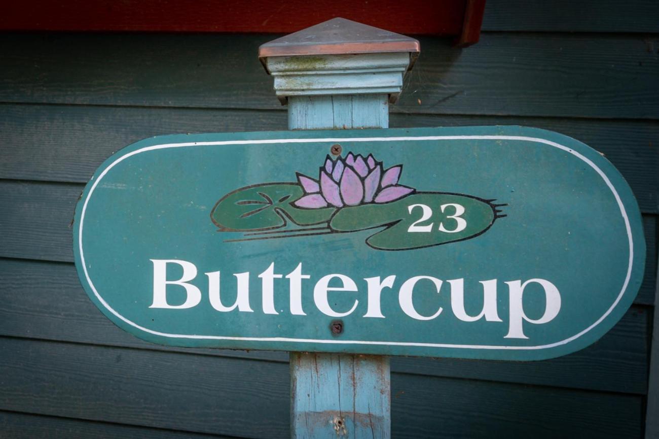 Buttercup Cottage Asheville Exterior foto