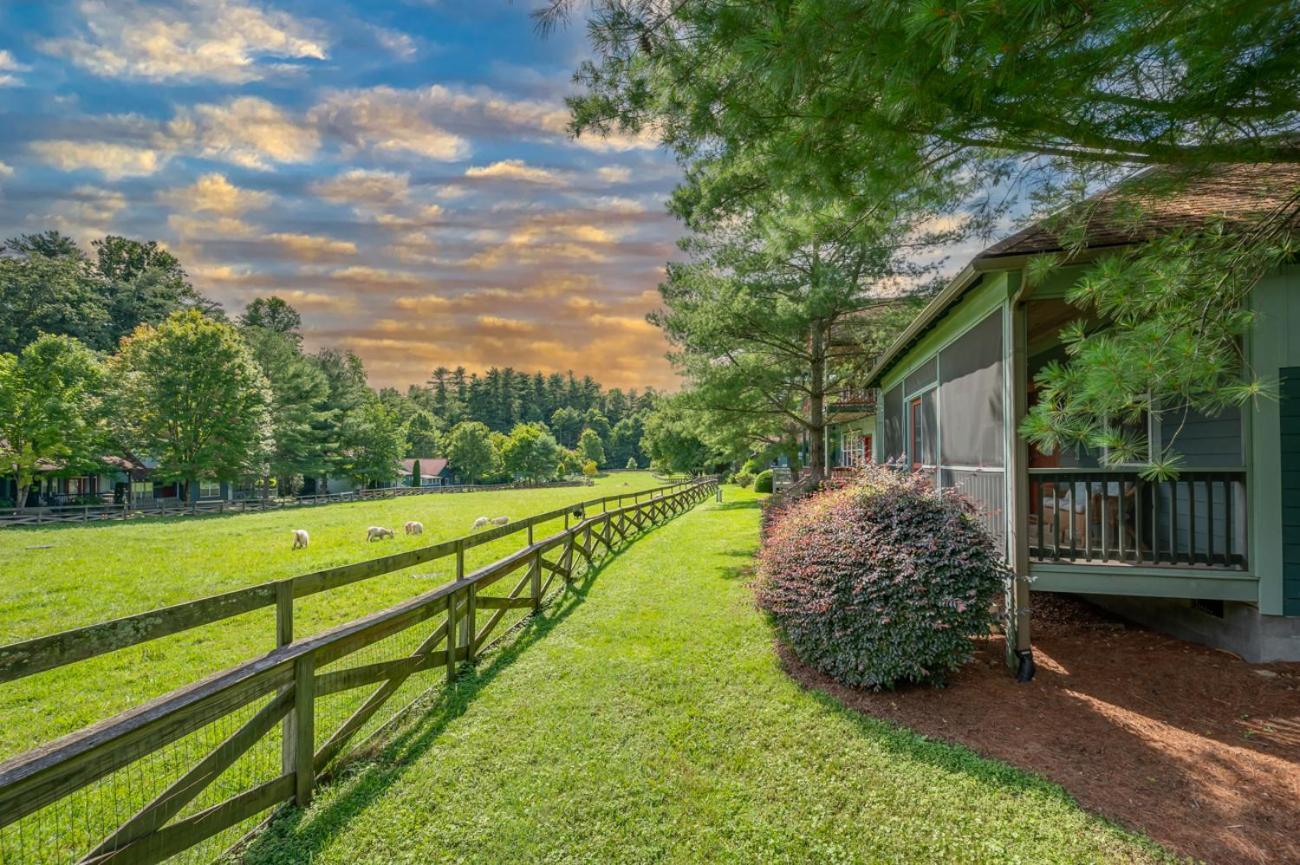 Buttercup Cottage Asheville Exterior foto